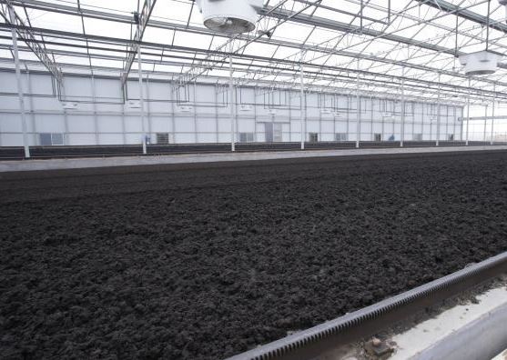 汙泥（ní）除臭劑