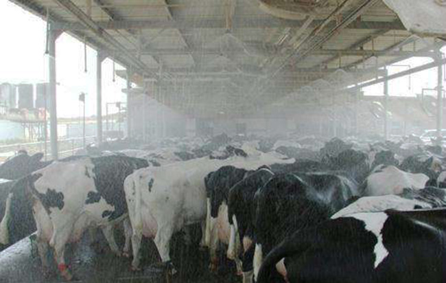養殖場除臭 養殖場除臭