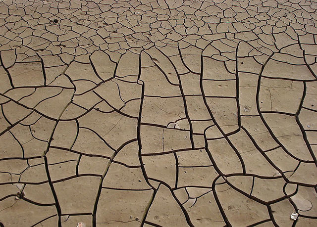 土(tǔ)壤修複前